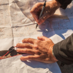 Líderes en el sector forestal, conoce los pilares de INEIF